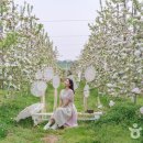 돌다리 농장 이미지