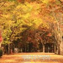 둘레길 동물병원 이미지