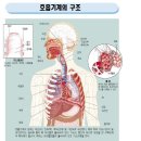 숲속공기 이미지