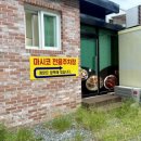(주)시래기밥상 | [대전/괴정동 맛집, 시래기 코다리로 든든한 한식 밥상을 - 마시코 둔산괴정점]