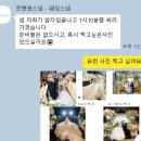 [본식 스냅 후기] 로맨앤 스냅