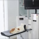 수동물병원 이미지