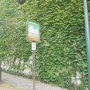 대우부동산중개법인주식회사 네이버블로그