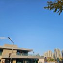 생활영어1B반 | 울산시립미술관 반 고흐와 현대미술의 만남 관람 후기