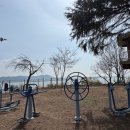 단장체육공원 이미지