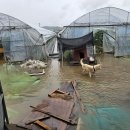 안이하우스 이미지