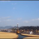 브라운핸즈 이미지