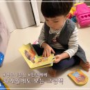 책 육아 37개월에도 보는 핀덴 베베 영유아 전집 - 언어 영역 발달 그림책 후기