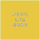 카플레이스 티스토리