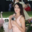 all motors(올 모터스) 이미지