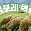 대전목장 이미지