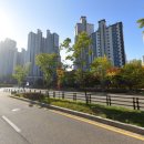 한빛마을 7,8단지 앞 사거리-4 | 파주 한빛마을 3.6단지 인천공항 리무진 버스 시간표 예매 타는곳 8843번 최신정보