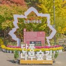 예산초 단풍나무길 | 천안 단풍 명소 독립기념관 단풍나무숲길 인생네컷 후기