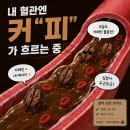 디데이로지스 | 6월의 시작