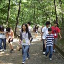 크린데이 이미지