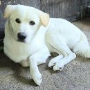 회원동225 이미지