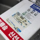 병산리 돌거북상 | 거북왕수산 생새우 내돈내산 🦐 집에서 생새우회 먹기