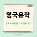 오케이덴탈 | [영국유학] #23 치과 치료 비용만 400만 원?! 💸 (feat. 건강 챙기기)