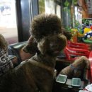 늘봄참숯갈비 이미지