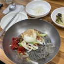 대포면옥 | [속초 대포항 맛집] 대포면옥 본점 후기(가자미회냉면♥️)
