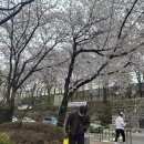 WR(서울특별시 광진구)-[자양번영로]-하-2 | 광진구 맛집 🐷지리산꿀통갈비 자양직영점 방문 후기!!