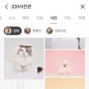 진성사진관 이미지
