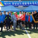 남일대축구장 Daum카페