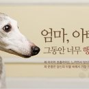 (주)야옹아멍멍해봐펫 이미지