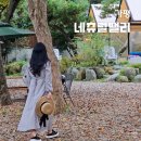 가평 메이드 독채 온수 수영장 펜션 | 가평 신축 키즈 풀빌라 온수 수영장 독채 4인 숙소