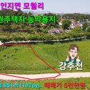 서산부동산 서산시 인지면 모월리 197py 남향 전원주택지 서산농막용지 서산부동산 서산시부동산 서산토지 서산땅 서산세컨하우스용지 귀촌 이미지