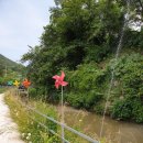 드림한우농장 이미지