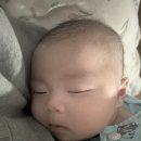 THE SPRING 이미지