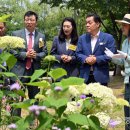 숲속에 우산정원 이미지