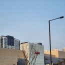 홀릭PC게임장 | 플스5 팝업in스타필드 고양 다녀온 후기(+스타필드 고양 구경)