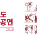 미동태권도 이미지