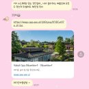 철수세탁방 | DUS🇩🇪 | ICN🇰🇷 | 첫 갤리 비행에서 칭찬 레터 💌
