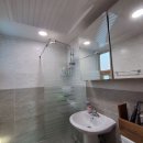 쫑이와메리 이미지