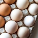 산들축산 - 익산시 고봉로 243 | 비린내 없는 산들내음 산림방사 유기농 1번란 non-GMO 사료 계란 후기