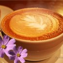 선비마을건강나라 이미지
