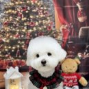 댕그랑댕 이미지