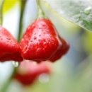 우리기전 이미지