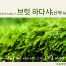 35주(5/27-수)＜브릿 하다샤＞-"나쏘(요12:20~36,눅1:11~20,행21:17~26)(신약 복음서읽기) 이미지