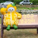 솔가람유치원 | 대구 근교 성주가볼만한곳 잇츠성주 나랑놀장 별꽃장터 주말나들이 다녀온 후기