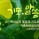 전광훈 목사 강의 .창세기1.26절 이미지