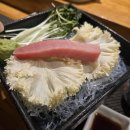 효산캐슬 | 일산호수공원맛집 '미나미참치' 솔직 후기 (일산참치 / 참치오마카세)