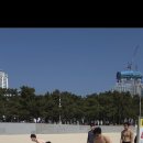 Team Shark 이미지