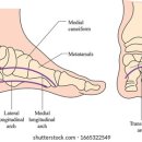 365경희길음한의원 이미지