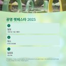 광명시티동물병원 | 11월 놓치면 후회할 반려동물 축제 총정리 🎪 광명·대전 완전 정복