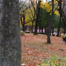 양평-용문-용문-1 이미지