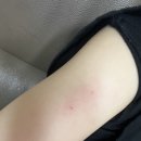 윤더의 7월 초중반이야기 / 영풍문고/하이디라오명동/국립민속박물관/삼청동수제비
